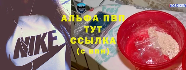 хмурый Алексин