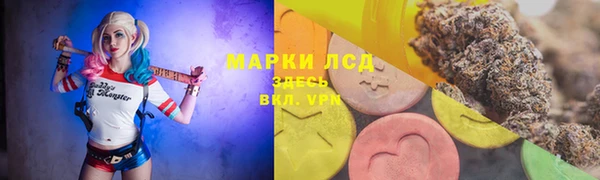 хмурый Алексин
