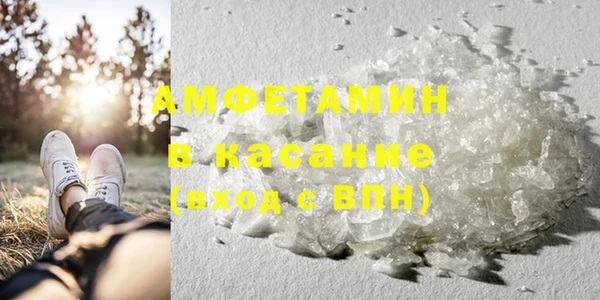 хмурый Алексин