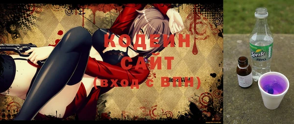 хмурый Алексин