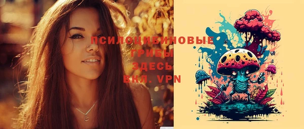 хмурый Алексин