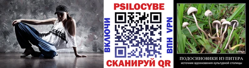 Псилоцибиновые грибы Cubensis  сколько стоит  Фатеж 